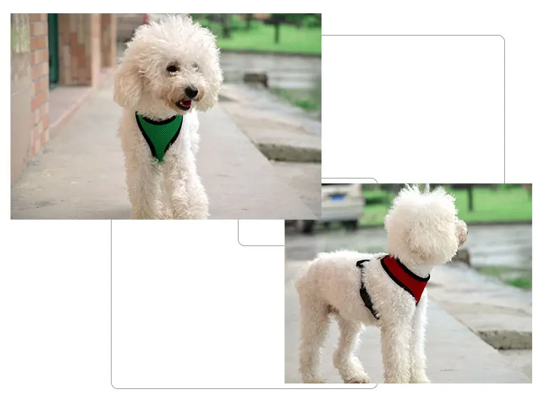 TB28ATRaVXXXXazXpXXXXXXXXXX-2266047197