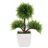 China Wholesale different kinds micro Artificial special plants artificial decorative bonsai for home decor