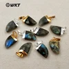WT-P1275 WKT wholesale new arrival sparkly natural gemstone real gold silver plated labradoite stone horn tiny pendant