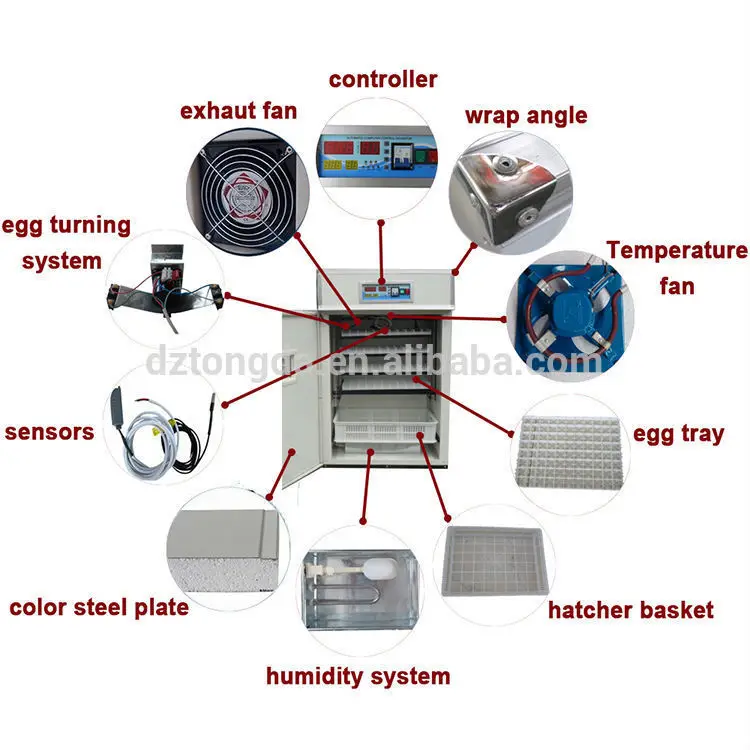 Hot selling wants ostrich chicks incubators with high quality