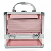 Small Beauty Case Clear Acrylic Makeup Train Case