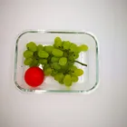 Heat-resistant Borosilicate glass unique lunch boxes with silicone lids