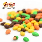 china import bulk beans sunflower seeds chocolate