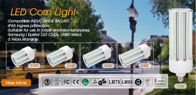 LED Corn Light Banner.jpg