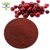 Freeze Dried Water Soluble Cranberry Fruit Dry Extract 25% powder