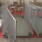 Digital Animal Used Weight Customized Electronic Cattle Scale