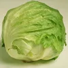 /product-detail/lt05-mary-extremely-early-maturity-iceberg-lettuce-seeds-1955951134.html