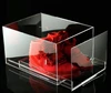 wholesale high quality acrylic drop front shoe storage box acrylic shoe display box/case