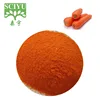 /product-detail/factory-supply-high-quality-carrot-extract-beta-carotene-1--60395893407.html