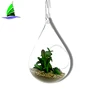 New Fashional hanging glass vases, air plant glass terrarium, decorative hanging glass vases