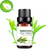 Best price hot sale Chinese high quality tea tree oil products organic tea tree oil