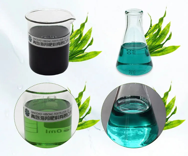 customized packing natural liquid seaweed foliar fertilizer agriculture for plant growing