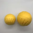 Durable Dog Toy Chew Ball with Teeth Pet Toy