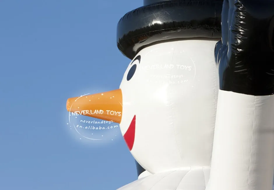 sneeuwpop_springkussen-1-940x652 (2).jpg