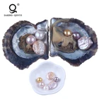 Round shape 6mm 8mm fresh water pearl oyster