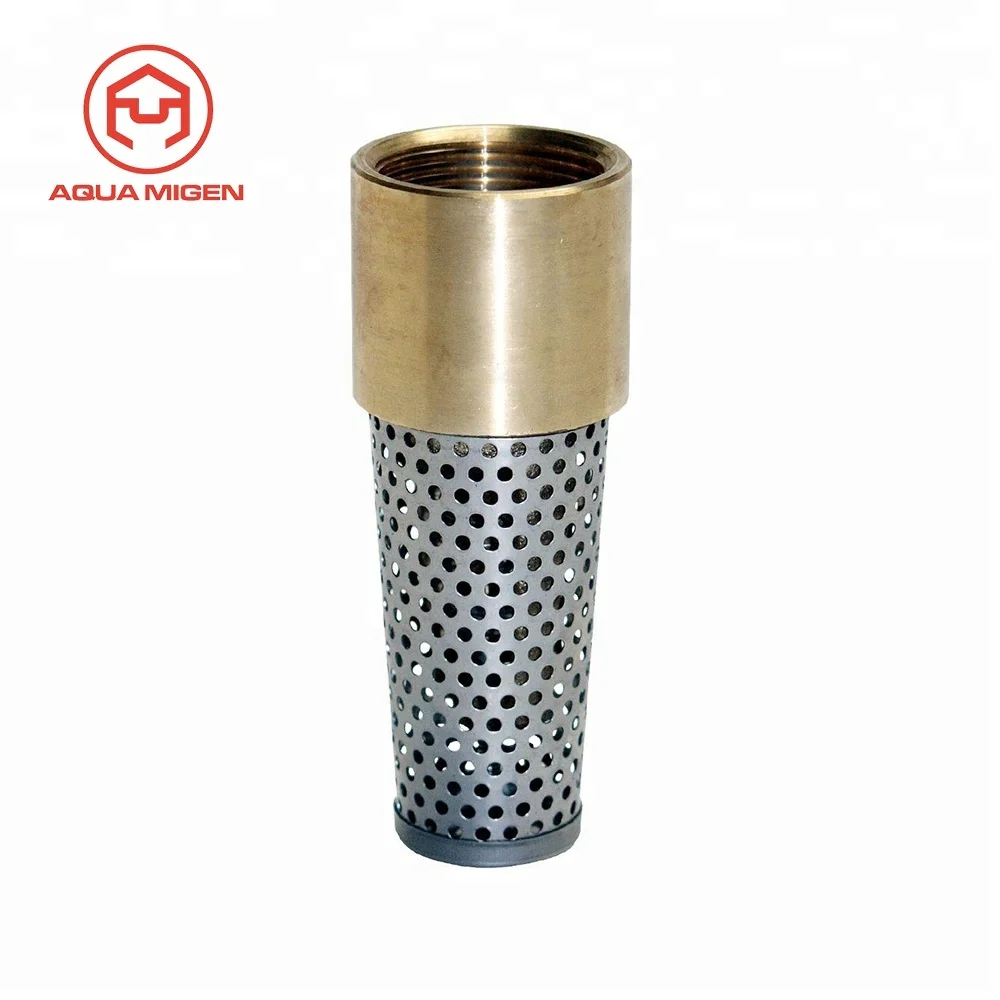 L 200wog 12 Npt Brass In Line Spring Vertical Check Valve For Copper