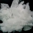 HOT~~2013 new arrival ecological 100% PLA fiber 3-12D*32-102MM for pillow and bedding