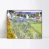 Vineyards with a View of Auvers by Vincent van gogh reproduction Framed wall art prints
