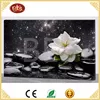 LED Spa Picture Black And White Flower Canvas Painting