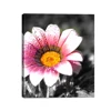 Fine pink flower pictures art pre printed canvas to paint