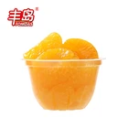 OEM Factory Direct 4oz/113g Satsuma Variety Canned Mandarin Orange in Syrup Canned Fruit