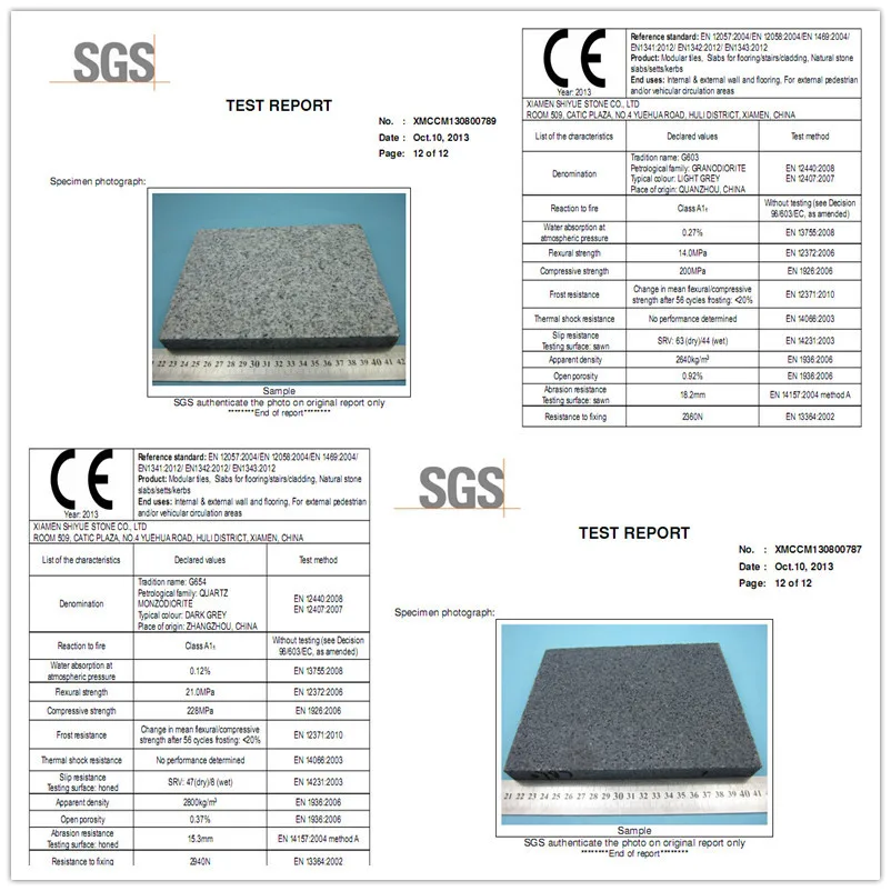 SGS2