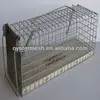 /product-detail/cheapest-household-mouse-trap-cage-with-auto-door-694240620.html