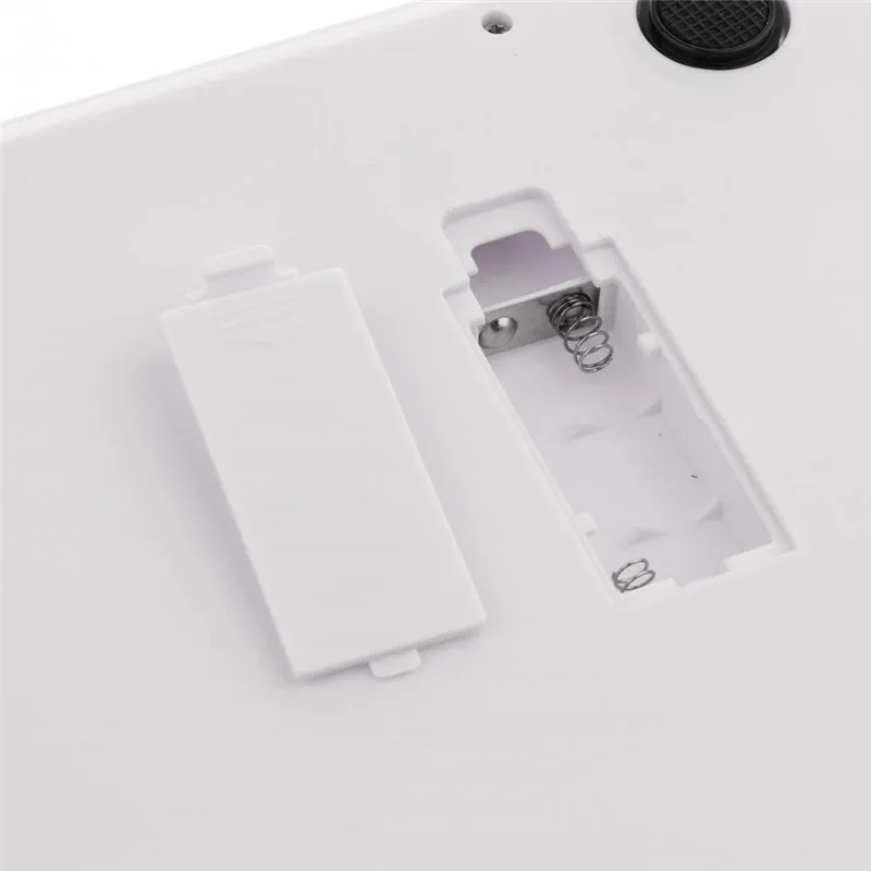 pet scale 02.jpg