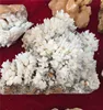 natural raw crystals cluster quartz crystalline