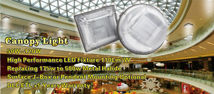 Shenzhen Manufactured high lumens IP65 Led gas station canopy light 50W with 5 years warranty