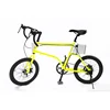 New Designed Chinese 20 inch Folding Electric Mountain Bike