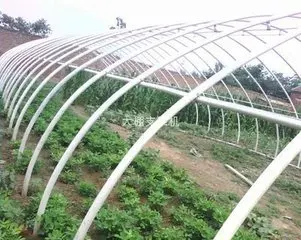 Single Span Multi Span Plastic Film