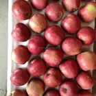 20kg red delicious apple 88/100/113/125/138/150/163