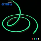 Waterproof IP68 Rated led rgb neon flex light