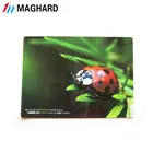 decorations magnet flat tourist insect fridge magnet