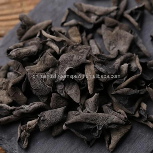 agaric fungus,blackfungus wood ear agaric black fungus mushroom chips