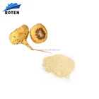 Pure Powder Powder Maca Extract Powder Boten High Pure Maca Root Extract Powder