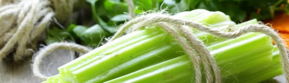 factory supply best price organic celery juice powder