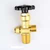 /product-detail/gas-cylinder-valve-62196813760.html