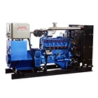 Generator Gas Chp Generator 10kW-1000kW Wood Gas/syngas/biomass Gas Generator Deutz Engine Chp System