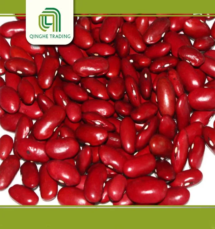 Good Brand Red Kidney Beans Shanxi Origin Delicious Soya Beans White