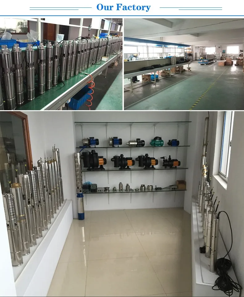 (5)our factory.jpg