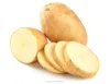 /product-detail/fresh-seed-potato-for-sale-60480005475.html