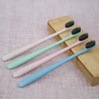 small head toothbrush with charcoal filament and biodegradable handle for korea market