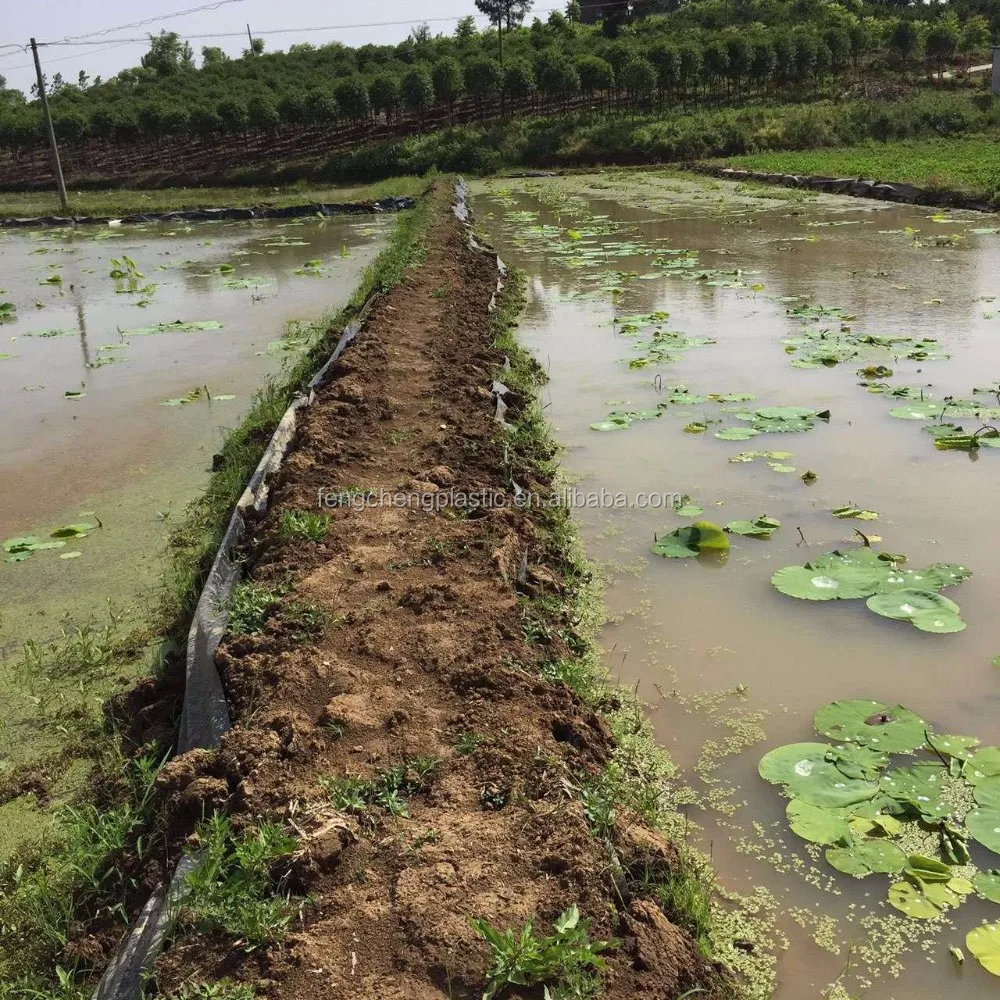 intensive, industrialized aquaculture ponds, fish ponds, shrimp