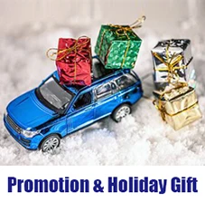 Promotion gift