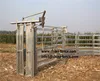 heavy duty galvanised cattle crush / livestock equipment / livestock cattle metal fence panels with sliding door / headbail
