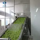 Soy Bean 2020 New Crop Top Grade Peeled IQF Frozen Soy Bean Kernels