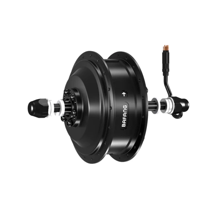 rear hub ebike