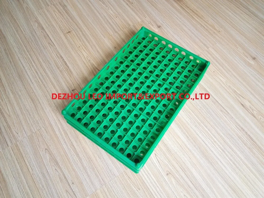 Colombia best selling quail egg crate plast tray for quail eggs
